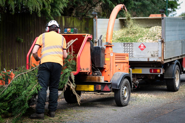 Best Firewood Processing and Delivery  in Montgomery, IL